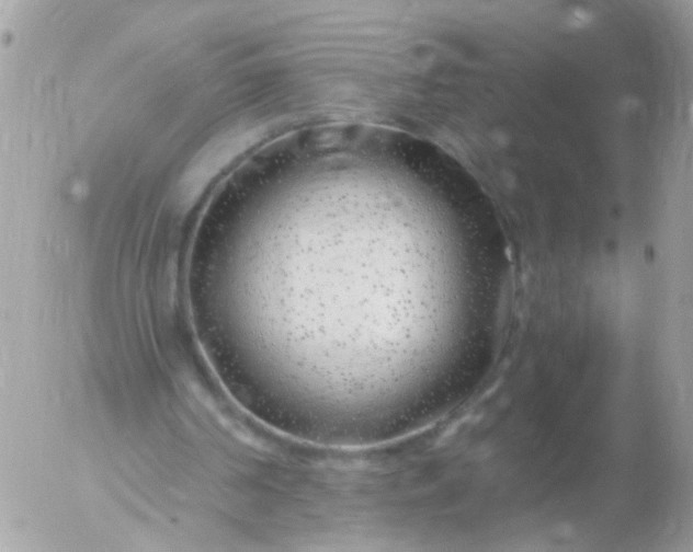 X0000056320194200509092311