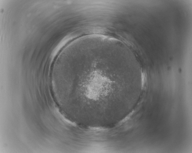 X0000056320195200509092311