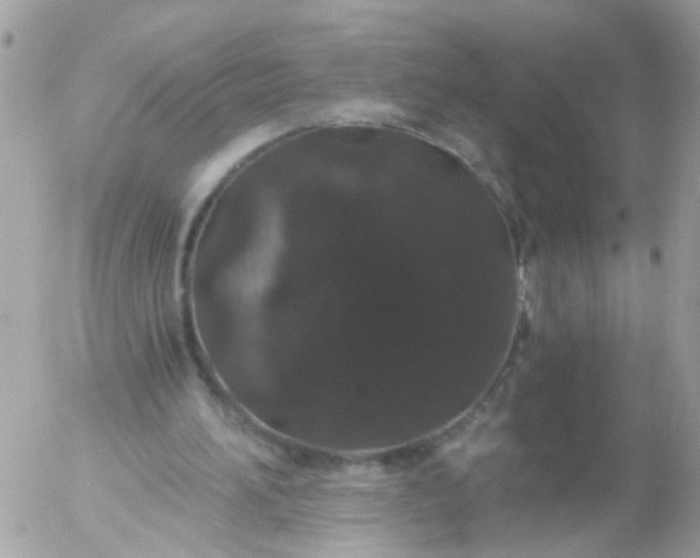 X0000056320196200509092311