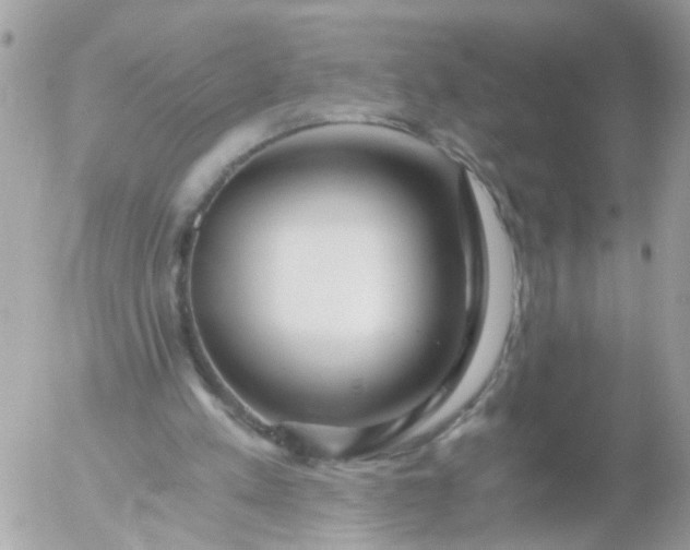 X0000056320197200509092311