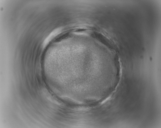 X0000056320198200509092311