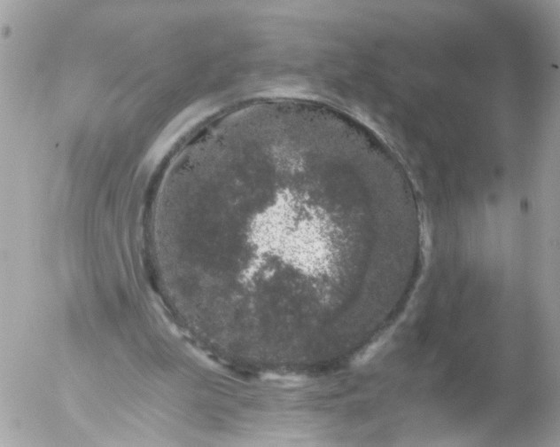 X0000056320199200509092311