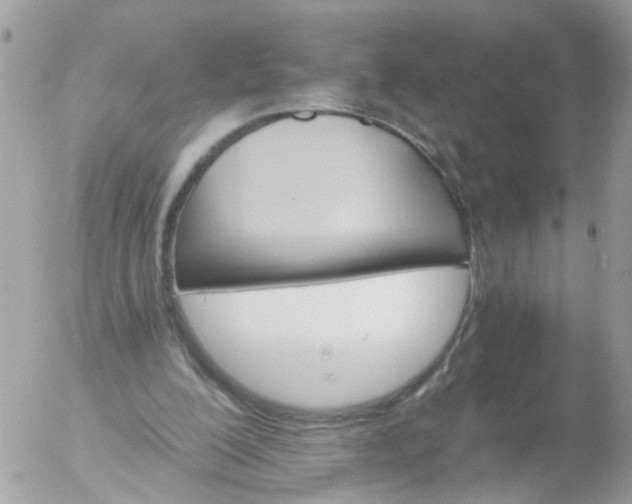 X0000056320200200509092311