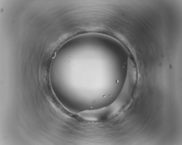 X0000056320201200509092311