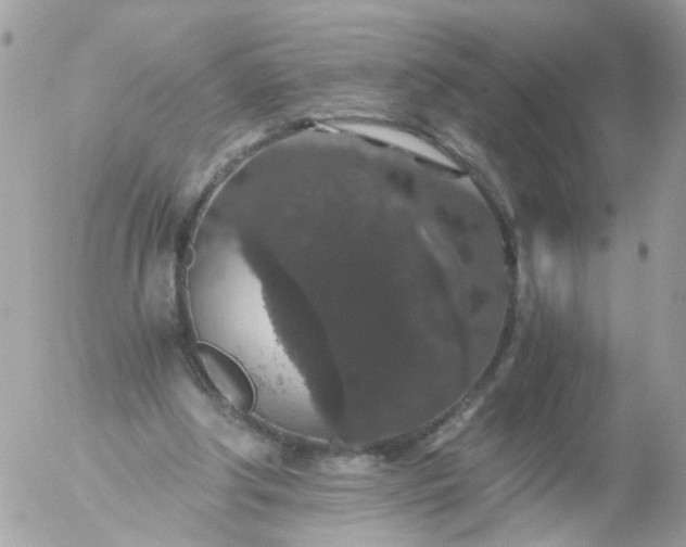 X0000056320202200509092311