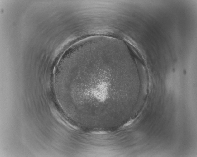 X0000056320203200509092311