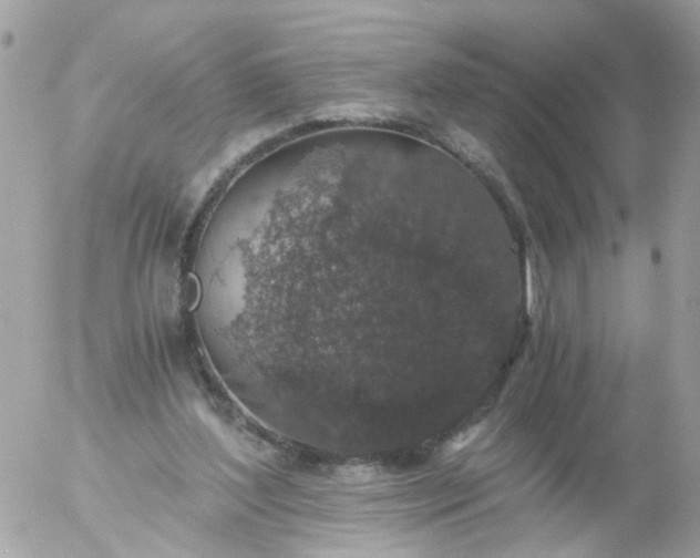 X0000056320204200509092311