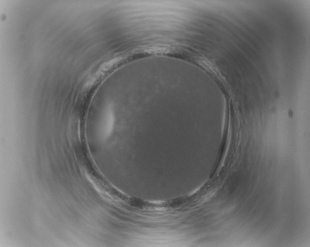 X0000056320205200509092311