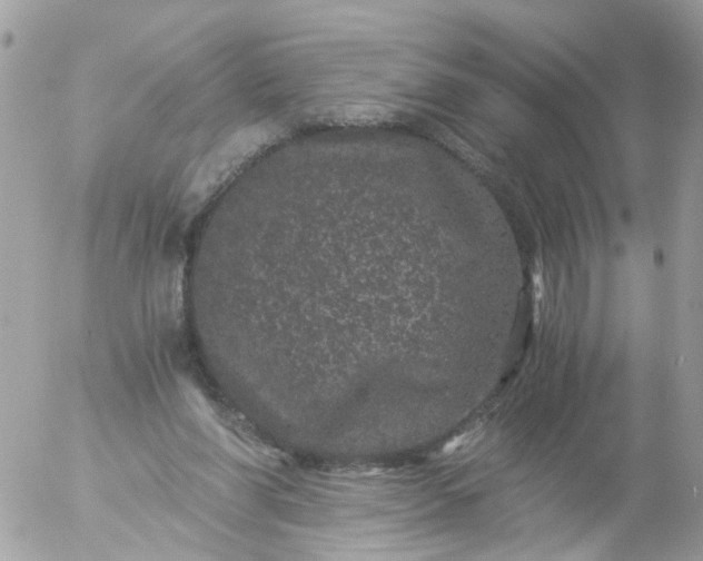 X0000056320206200509092311