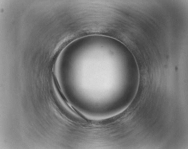 X0000056320207200509092311