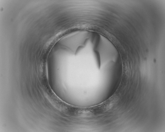 X0000056320208200509092311