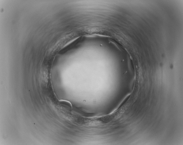 X0000056320210200509092311