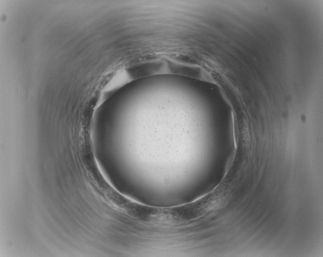 X0000056320211200509092311