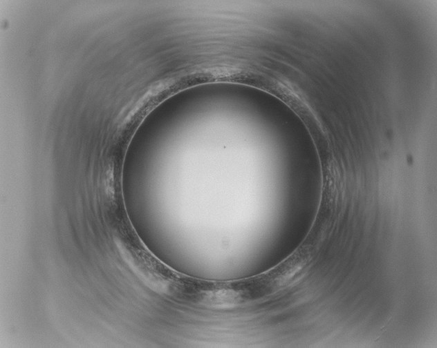 X0000056320212200509092311