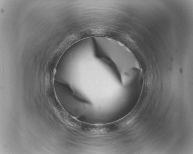 X0000056320213200509092311