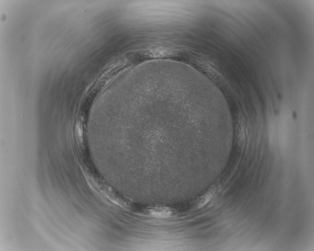 X0000056320214200509092311