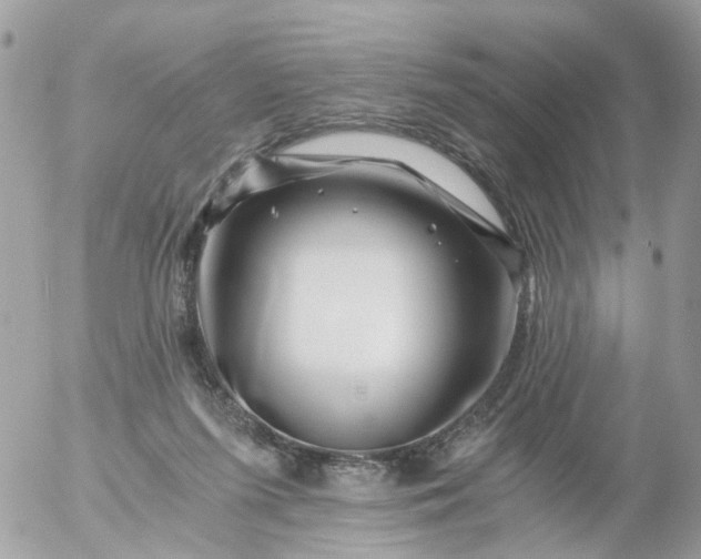 X0000056320215200509092311