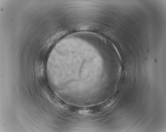 X0000056320216200509092311