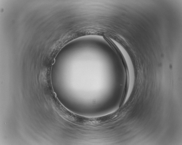 X0000056320217200509092311