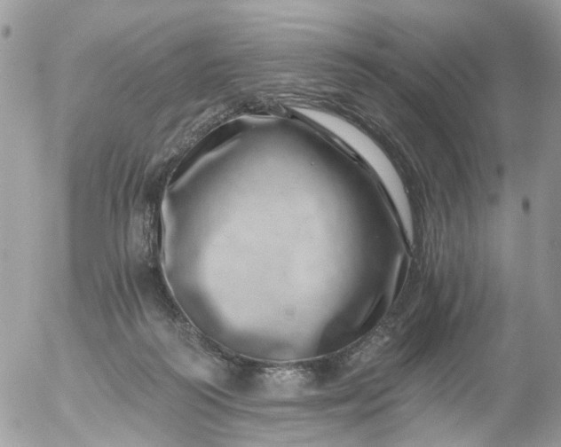 X0000056320218200509092311