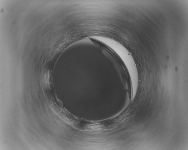 X0000056320219200509092311