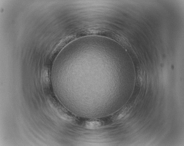 X0000056320220200509092311