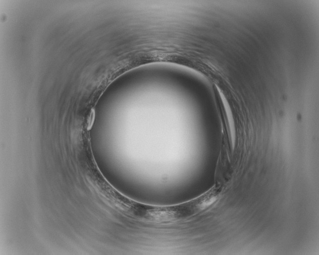 X0000056320221200509092311