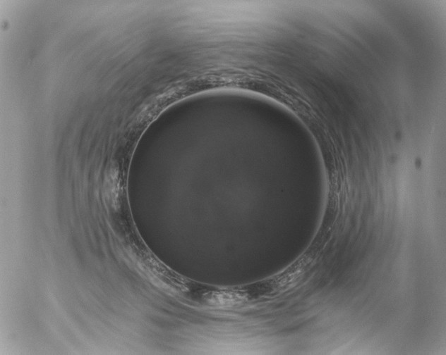 X0000056320223200509092311