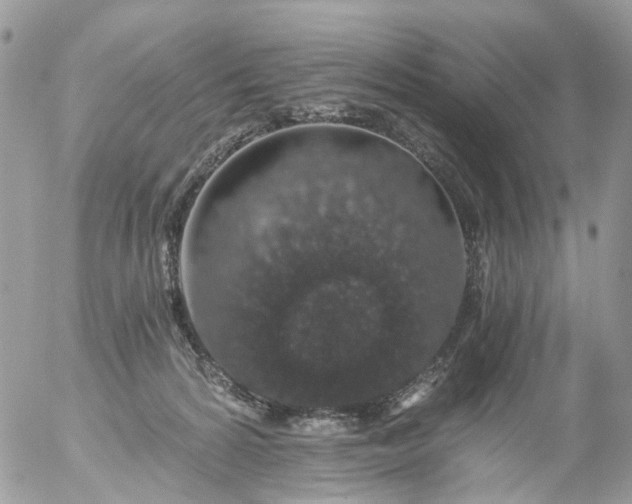 X0000056320224200509092311