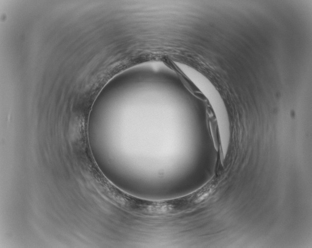 X0000056320225200509092311