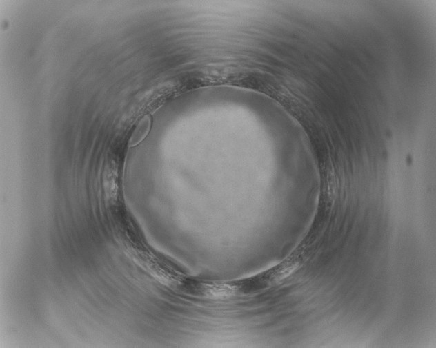 X0000056320226200509092311