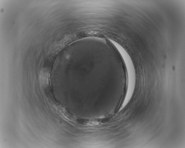 X0000056320227200509092311