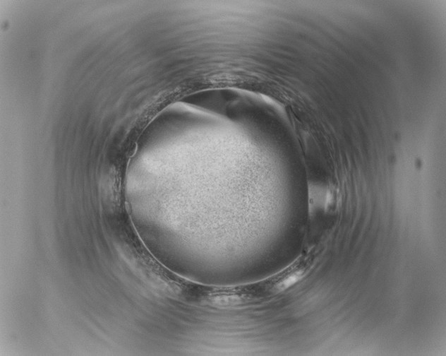 X0000056320228200509092310