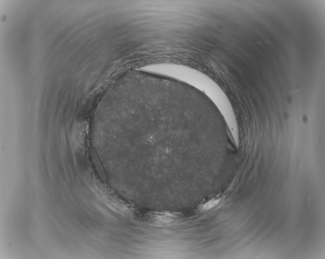 X0000056320229200509092310