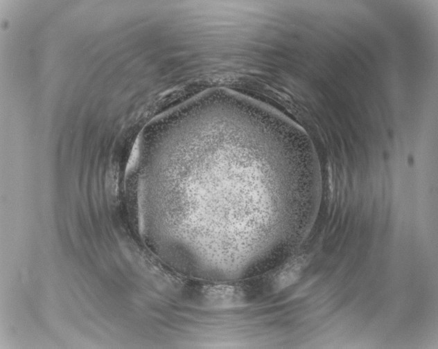 X0000056320230200509092310