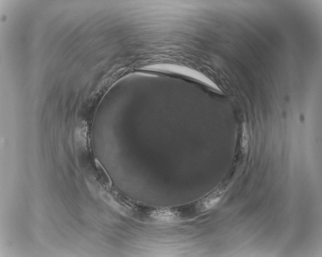 X0000056320231200509092310