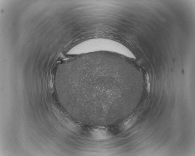 X0000056320232200509092310