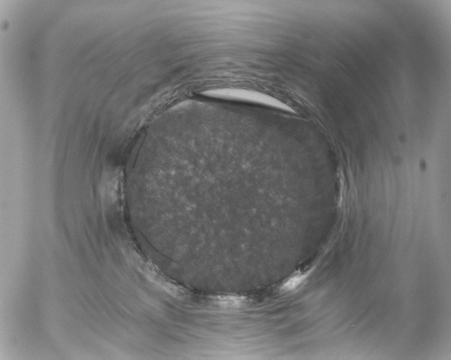 X0000056320233200509092310