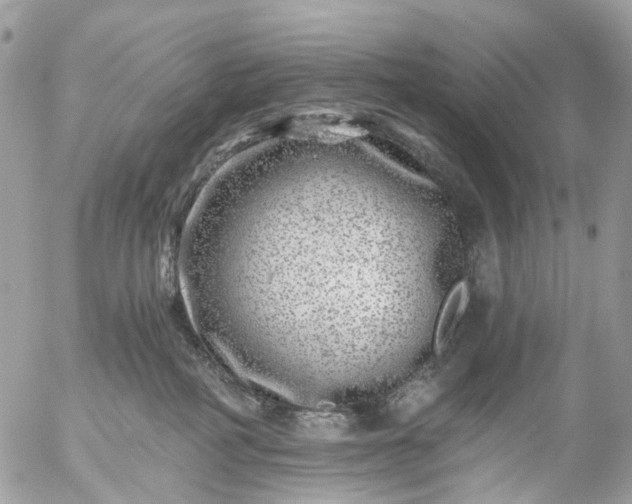 X0000056320234200509092310