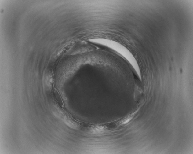 X0000056320235200509092310