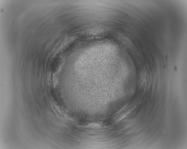 X0000056320236200509092310