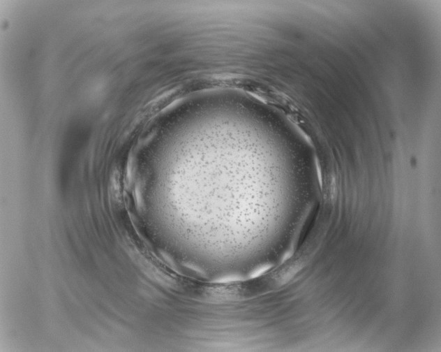 X0000056320238200509092310