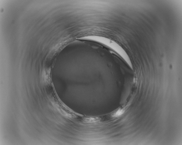 X0000056320239200509092310