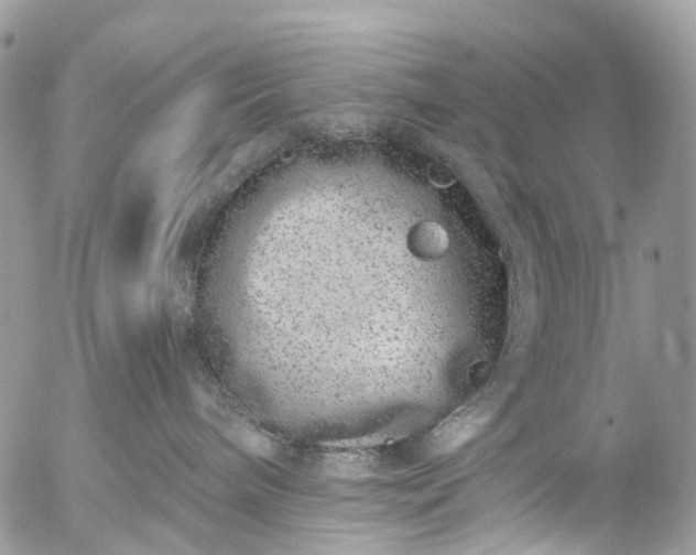 X0000056320240200509092310