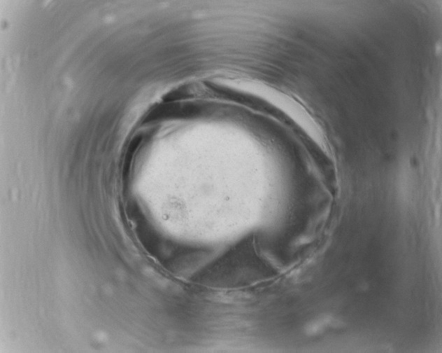 X0000056320241200509092309