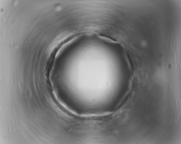 X0000056320242200509092310