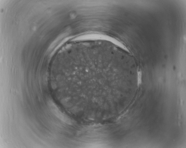 X0000056320243200509092310