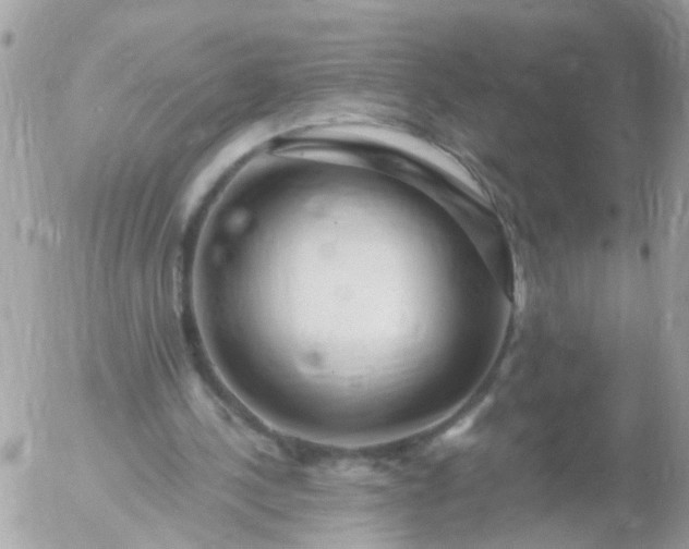 X0000056320244200509092310