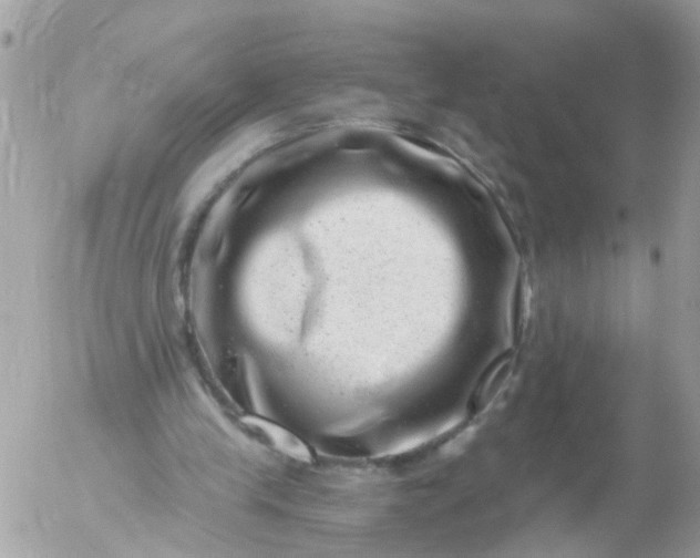 X0000056320245200509092310