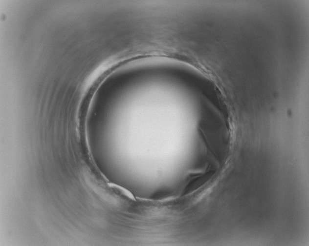 X0000056320246200509092310